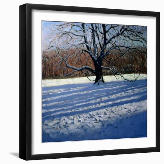 Large Tree, Snow, Calke Abbey-Andrew Macara-Framed Giclee Print