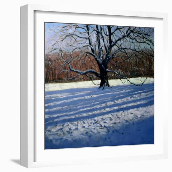 Large Tree, Snow, Calke Abbey-Andrew Macara-Framed Giclee Print