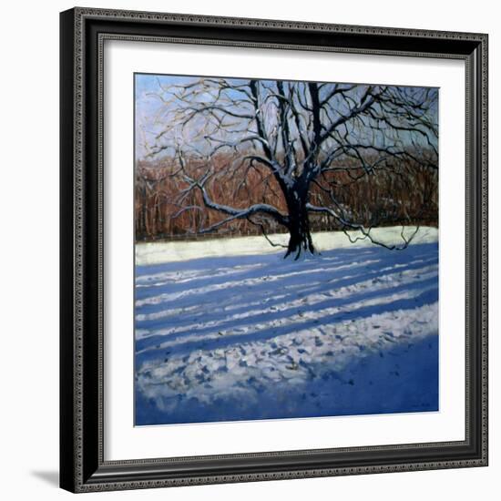 Large Tree, Snow, Calke Abbey-Andrew Macara-Framed Giclee Print