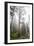 Large Trees In Sequoia National Park, California-Michael Hanson-Framed Photographic Print