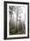 Large Trees In Sequoia National Park, California-Michael Hanson-Framed Photographic Print