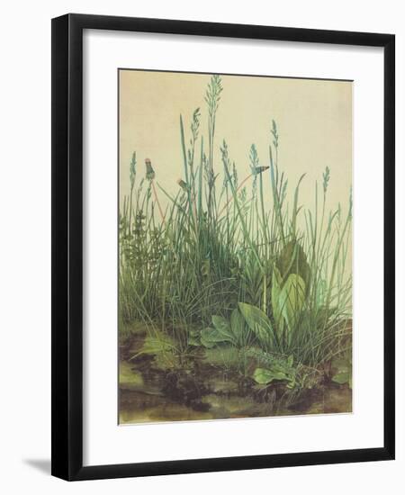 Large Turf-Albrecht Dürer-Framed Art Print