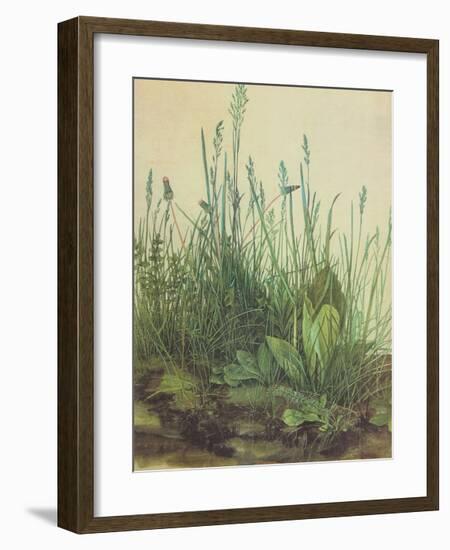 Large Turf-Albrecht Dürer-Framed Art Print