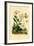 Large White, 1833-39-null-Framed Giclee Print