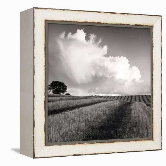 Large White Cloud Near Bilsington, Kent, 1981.-Fay Godwin-Framed Premier Image Canvas