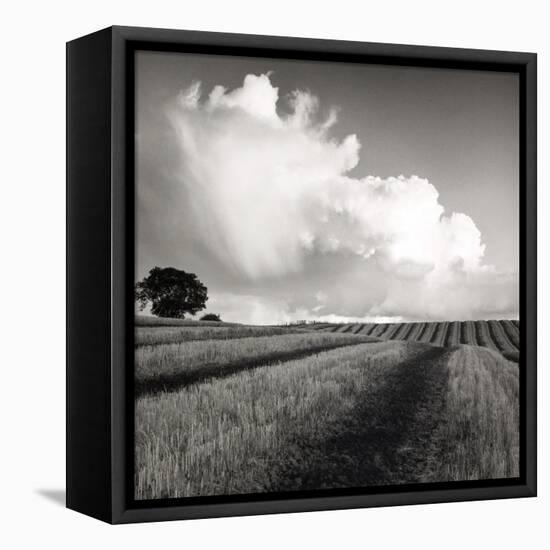 Large White Cloud Near Bilsington, Kent, 1981.-Fay Godwin-Framed Premier Image Canvas