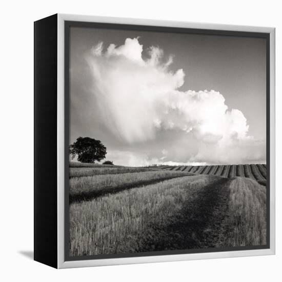 Large White Cloud Near Bilsington, Kent, 1981.-Fay Godwin-Framed Premier Image Canvas