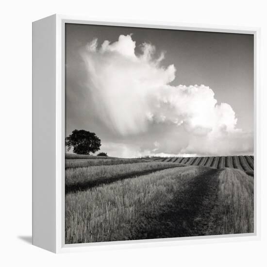 Large White Cloud Near Bilsington, Kent, 1981.-Fay Godwin-Framed Premier Image Canvas