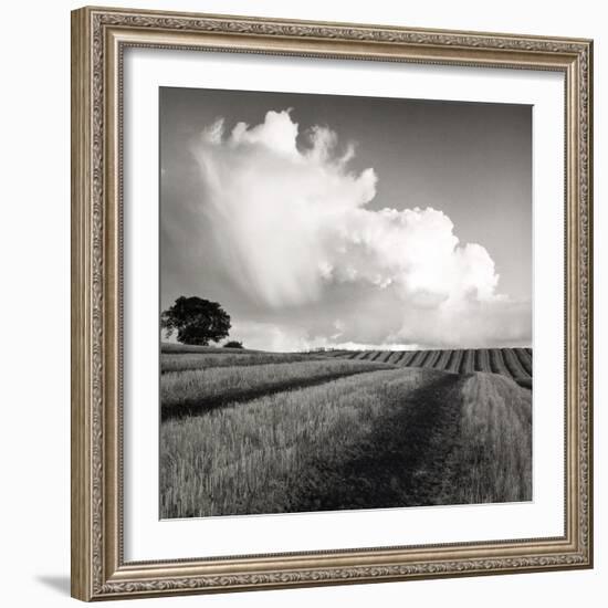 Large White Cloud Near Bilsington, Kent, 1981.-Fay Godwin-Framed Giclee Print