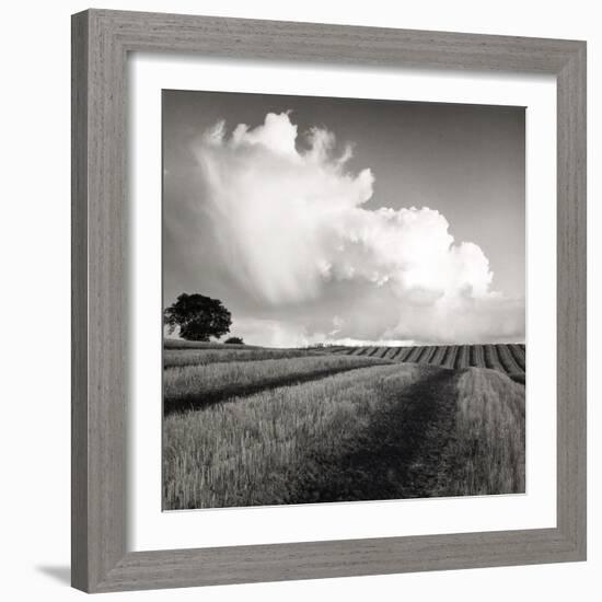 Large White Cloud Near Bilsington, Kent, 1981.-Fay Godwin-Framed Giclee Print