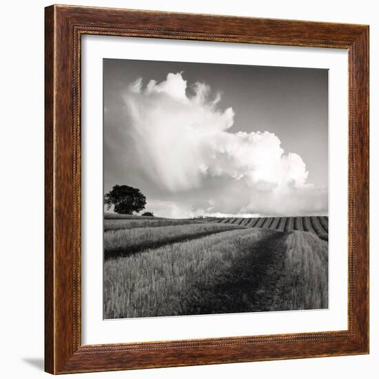 Large White Cloud Near Bilsington, Kent, 1981.-Fay Godwin-Framed Giclee Print