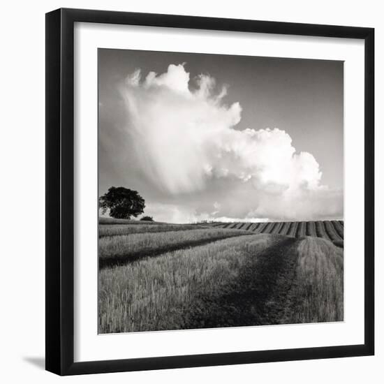 Large White Cloud Near Bilsington, Kent, 1981.-Fay Godwin-Framed Giclee Print