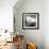 Large White Cloud Near Bilsington, Kent, 1981.-Fay Godwin-Framed Giclee Print displayed on a wall