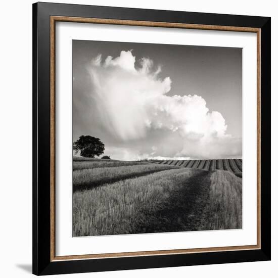 Large White Cloud Near Bilsington, Kent, 1981.-Fay Godwin-Framed Giclee Print