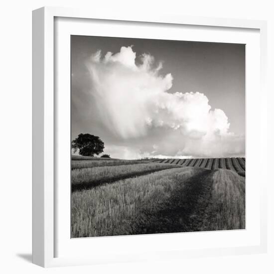 Large White Cloud Near Bilsington, Kent, 1981.-Fay Godwin-Framed Giclee Print