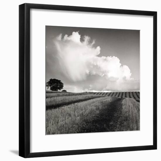 Large White Cloud Near Bilsington, Kent, 1981.-Fay Godwin-Framed Giclee Print