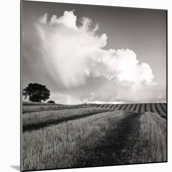 Large White Cloud Near Bilsington, Kent, 1981.-Fay Godwin-Mounted Giclee Print