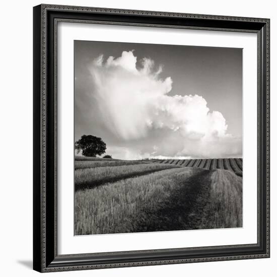 Large White Cloud Near Bilsington, Kent, 1981.-Fay Godwin-Framed Giclee Print