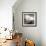 Large White Cloud Near Bilsington, Kent, 1981.-Fay Godwin-Framed Giclee Print displayed on a wall