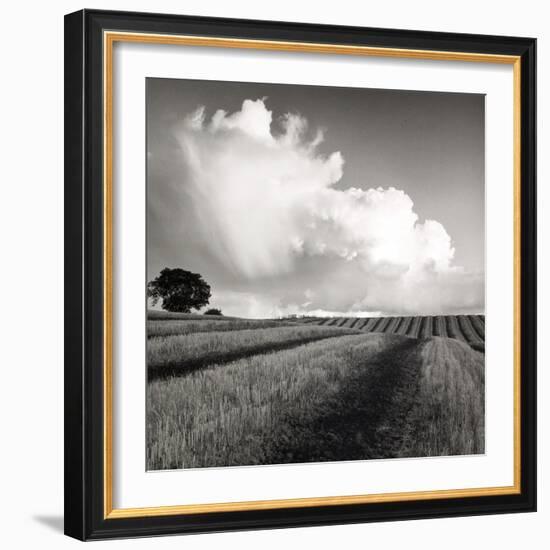 Large White Cloud Near Bilsington, Kent, 1981.-Fay Godwin-Framed Giclee Print