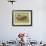 Largemouth Bass Fishing-Kate Ward Thacker-Framed Giclee Print displayed on a wall