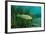 Largemouth Bass, Micropterus Salmoides, Usa, Florida, FL-Reinhard Dirscherl-Framed Photographic Print