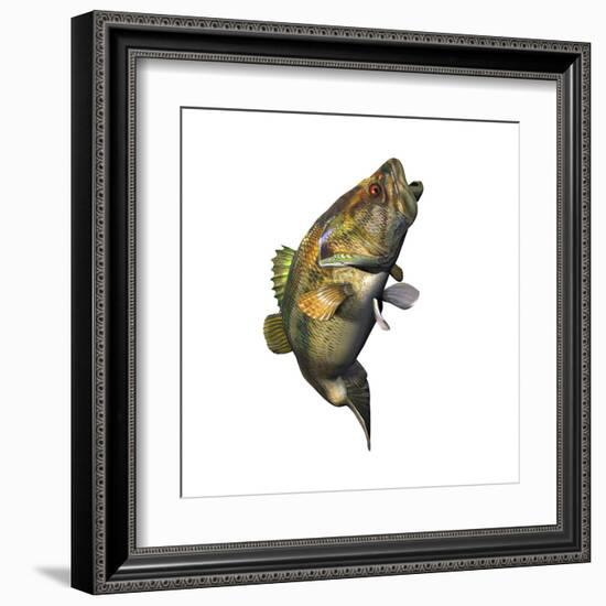 Largemouth Bass-null-Framed Art Print