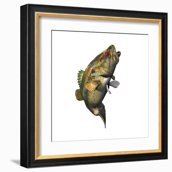 Largemouth Bass-null-Framed Art Print