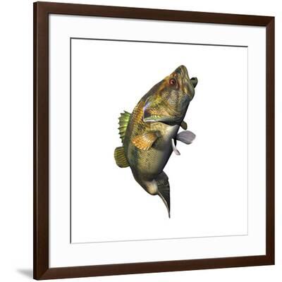 'Largemouth Bass' Art Print | Art.com