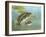 Largemouth Bass-null-Framed Giclee Print