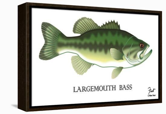 Largemouth Bass-Mark Frost-Framed Premier Image Canvas