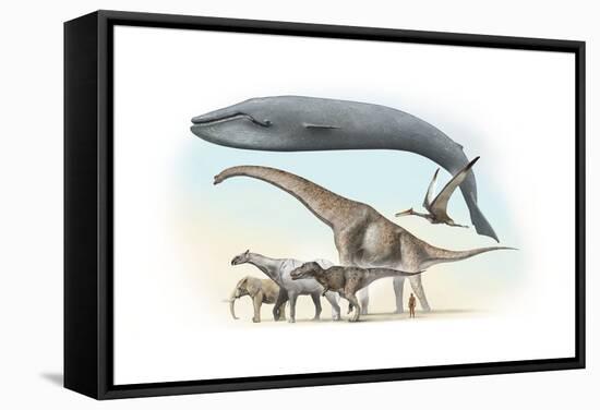 Largest Animals Size Comparison-Jose Antonio-Framed Premier Image Canvas