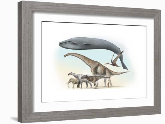 Largest Animals Size Comparison-Jose Antonio-Framed Photographic Print