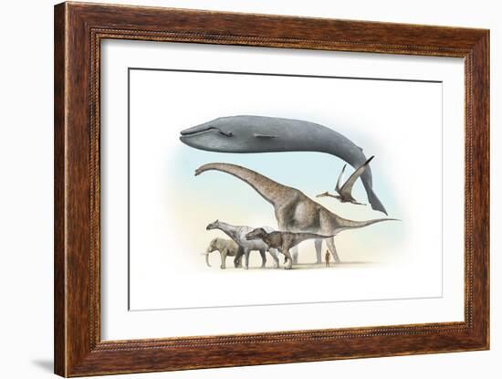 Largest Animals Size Comparison-Jose Antonio-Framed Photographic Print