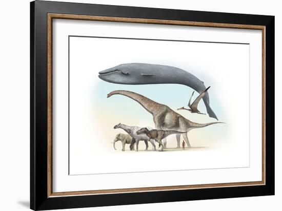 Largest Animals Size Comparison-Jose Antonio-Framed Photographic Print