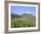 Largest Ruined Castle in Slovakia, Spis Castle, Unesco World Heritage Site, Presov Region-Richard Nebesky-Framed Photographic Print