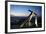 Largo da Cruz Quebrada (Fallen Cross), Pelourinho, Salvador (Salvador de Bahia), Bahia, Brazil-Yadid Levy-Framed Photographic Print