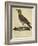 Lark with a Black Collar-Paul Louis Oudart-Framed Giclee Print