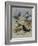 Larks-Archibald Thorburn-Framed Giclee Print