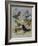 Larks-Archibald Thorburn-Framed Giclee Print