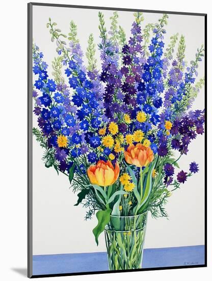 Larkspur and Delphiniums-Christopher Ryland-Mounted Giclee Print