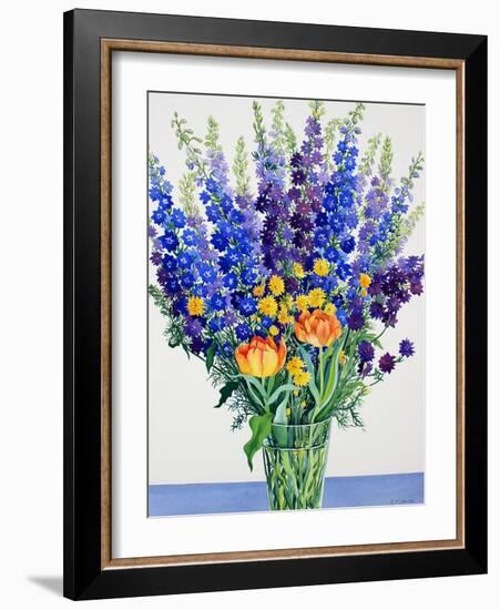Larkspur and Delphiniums-Christopher Ryland-Framed Giclee Print