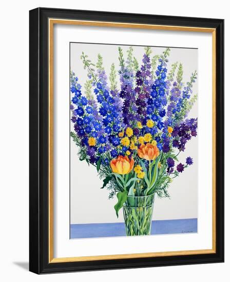 Larkspur and Delphiniums-Christopher Ryland-Framed Giclee Print