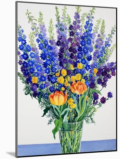 Larkspur and Delphiniums-Christopher Ryland-Mounted Premium Giclee Print