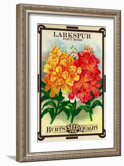 Larkspur Seed Packet-Lantern Press-Framed Art Print