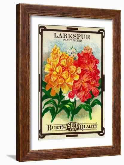 Larkspur Seed Packet-Lantern Press-Framed Art Print