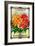 Larkspur Seed Packet-Lantern Press-Framed Art Print