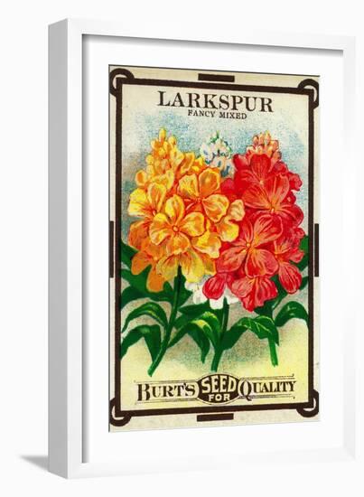 Larkspur Seed Packet-Lantern Press-Framed Art Print