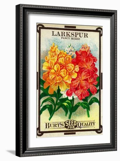 Larkspur Seed Packet-Lantern Press-Framed Art Print