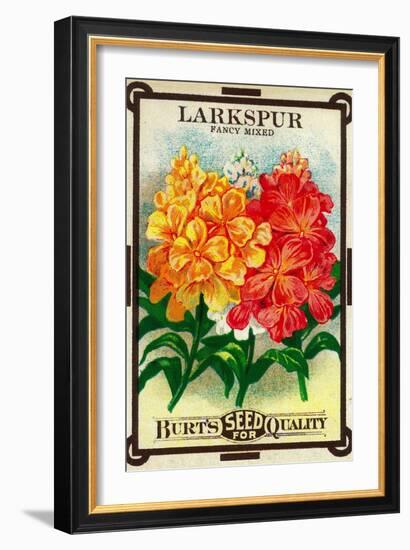 Larkspur Seed Packet-Lantern Press-Framed Art Print